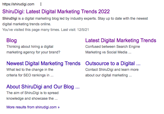 shirudigi-digital-marketing-agency-google-search-2022
